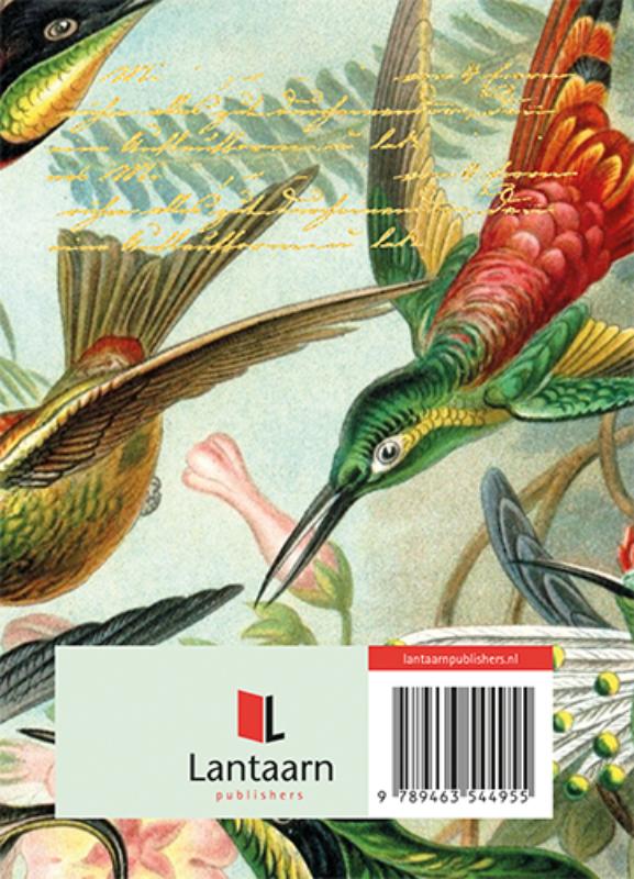 Reisdagboek (Hardback)