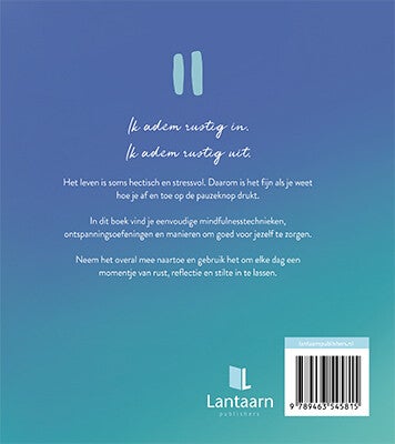 Pauze (Hardback)