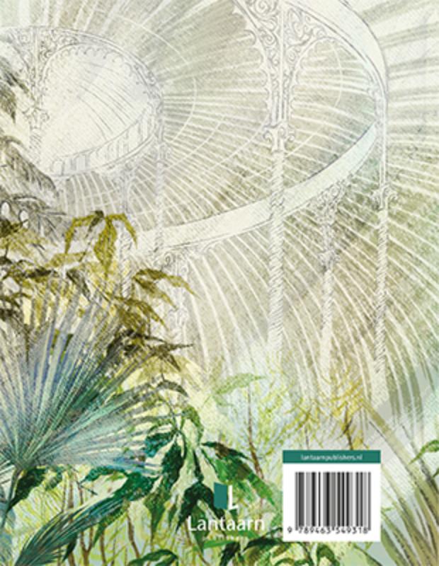 Let's travel - Jungle (Hardback)