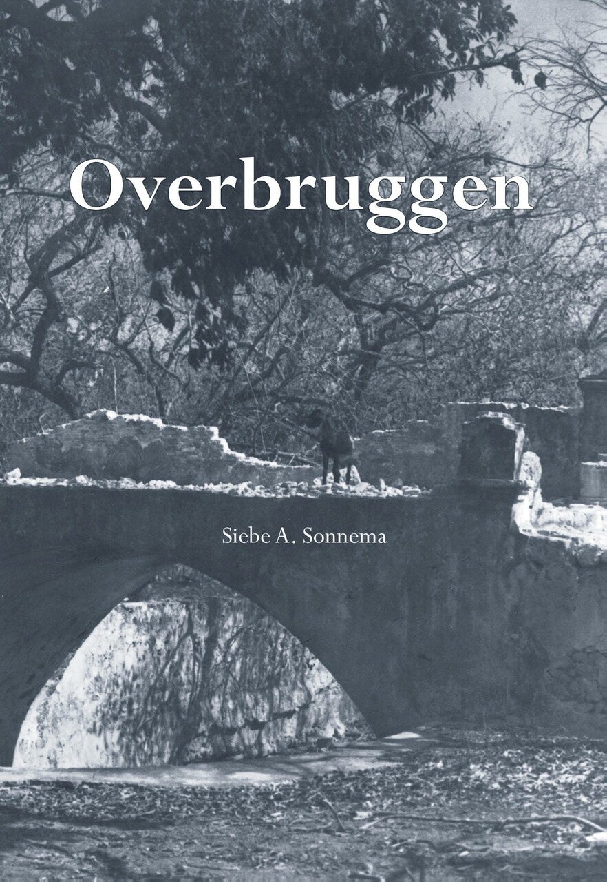 Overbruggen (E-book)