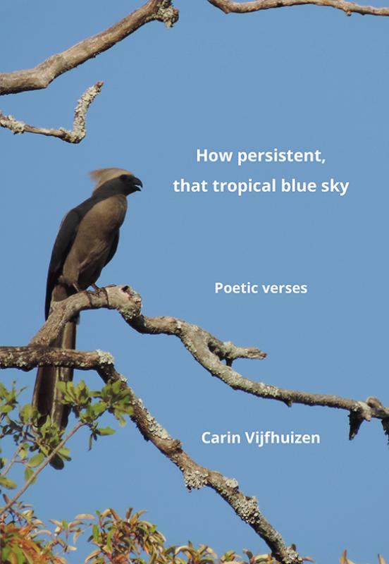 How persistent, that tropical blue sky (Paperback)