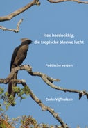 Hoe hardnekkig, die tropische blauwe lucht (E-book)