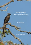 How persistent, that tropical blue sky (E-book)