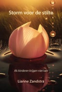Storm voor de stilte (Paperback)