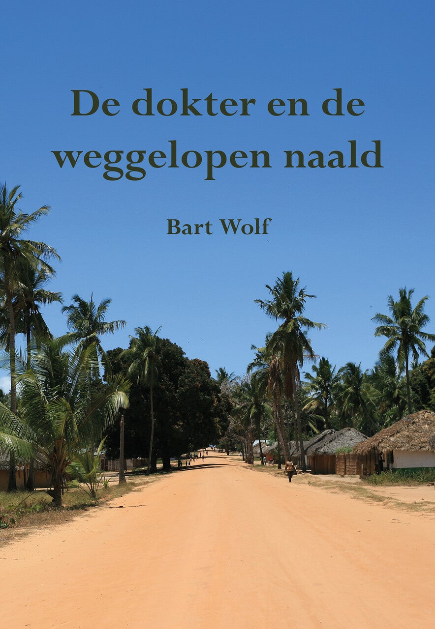 De dokter en de weggelopen naald (E-book)