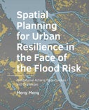 Spatial Planning for Urban Resilience in the Face of the Flood Risk (Paperback)
