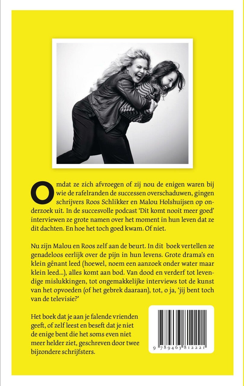 Dit komt nooit meer goed (E-book)