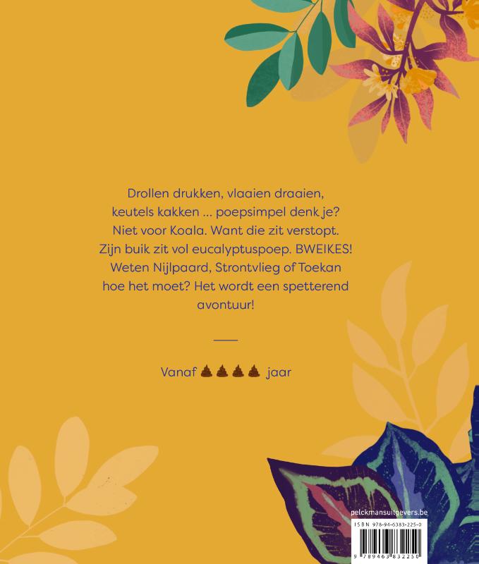 Koala zit verstopt (Hardback)