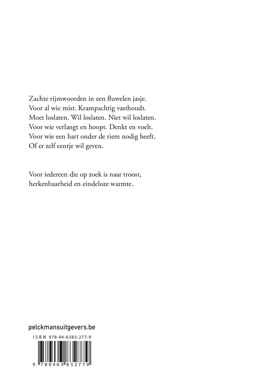 Een handjevol troost (Paperback)