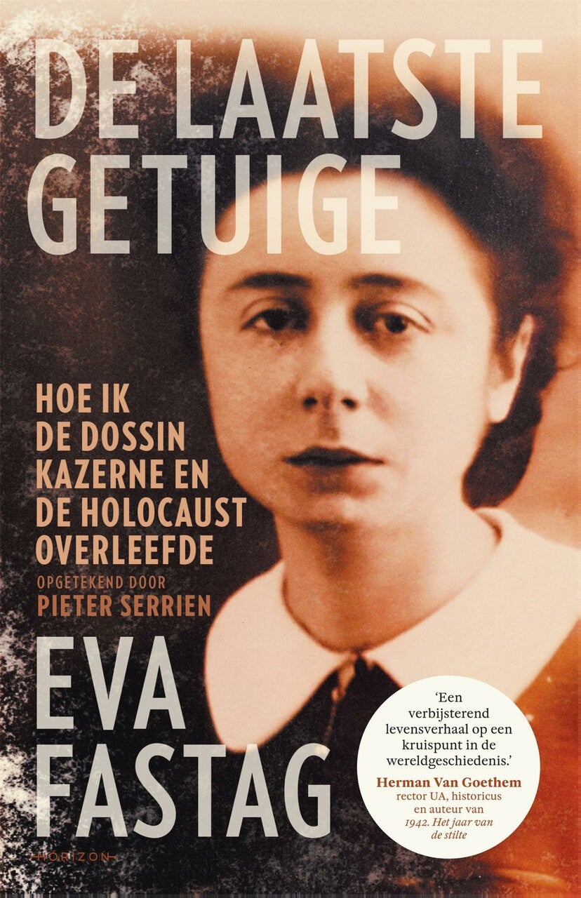 De laatste getuige (E-book)