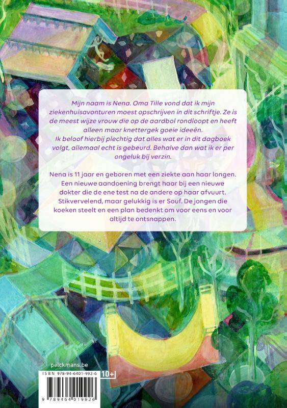 De legendarische ziekenhuisdagen van Nena (Paperback)