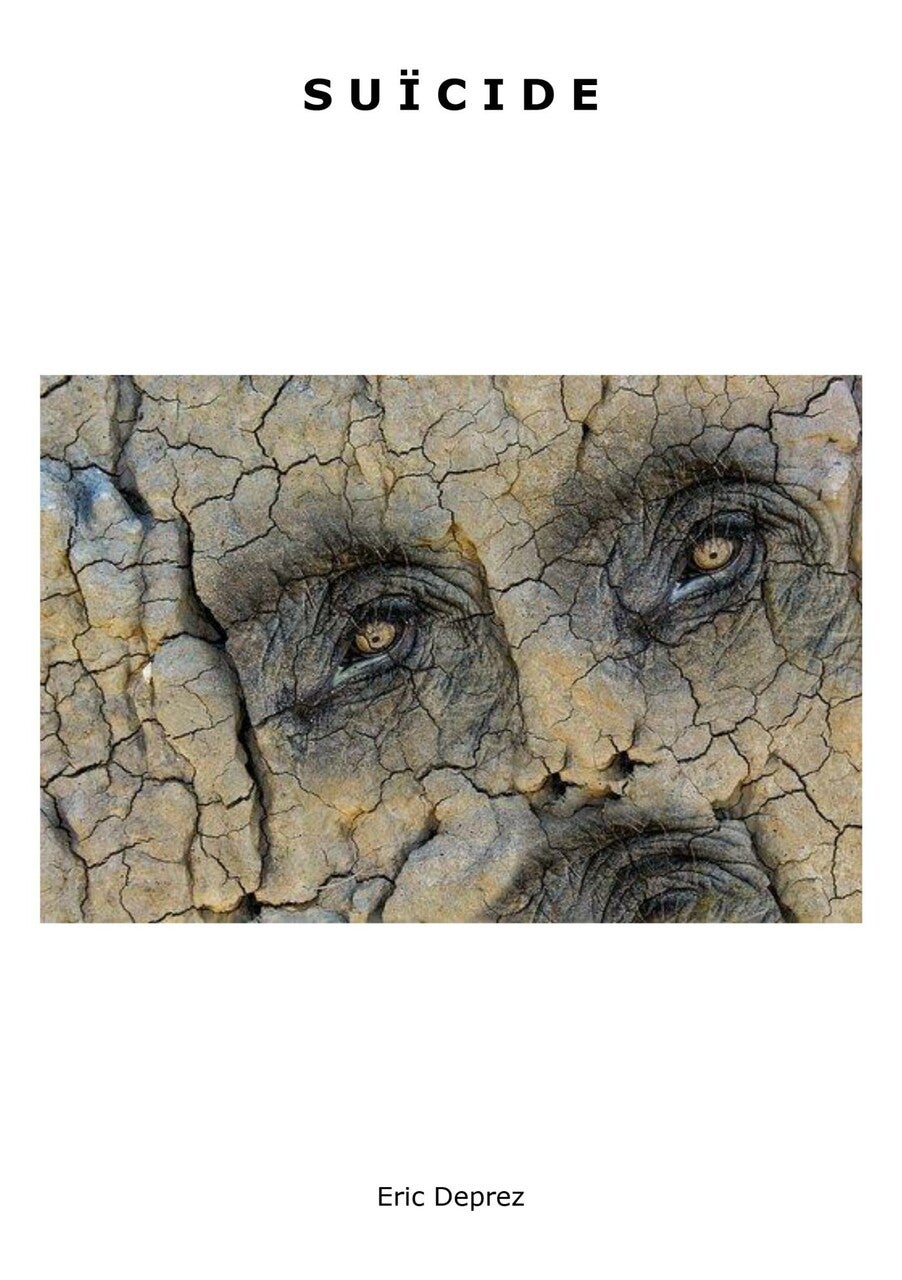 isbn-9789464069396_front_cover