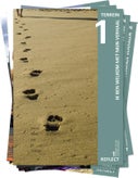 Reflect 1 (Paperback)