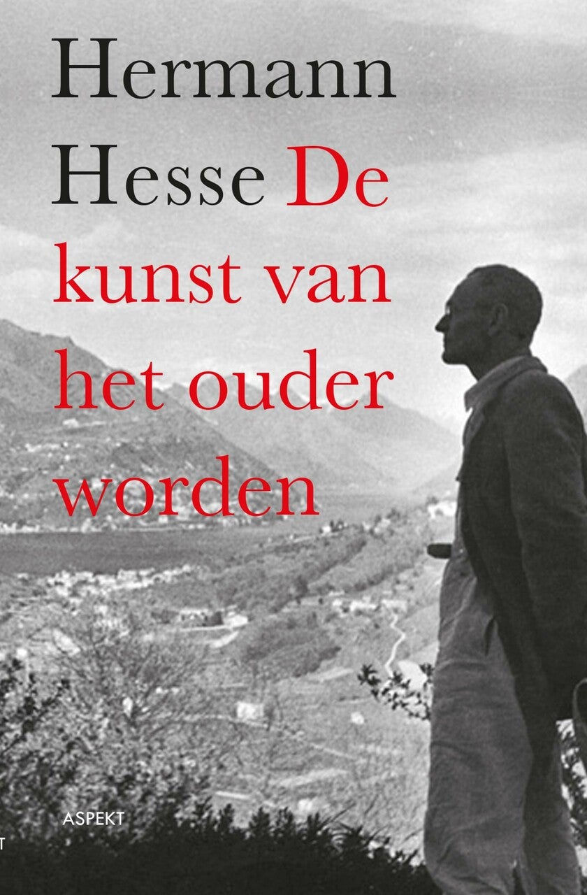 De kunst van het ouder worden (E-book)