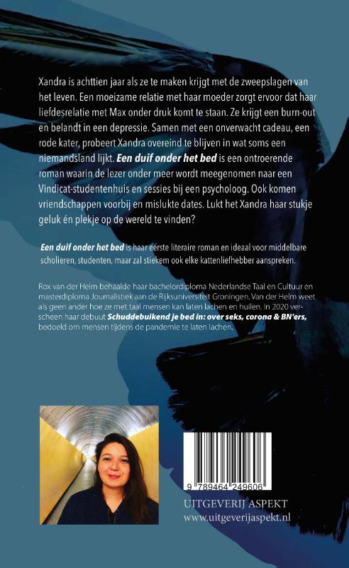 Een duif onder het bed (Paperback)