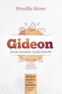 Gideon (Paperback)