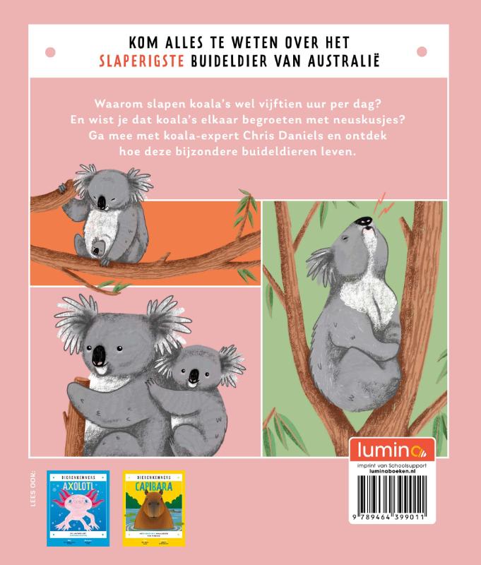 Koala (Hardback)