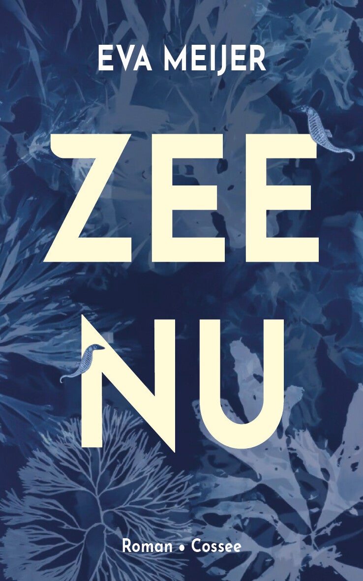 Zee Nu (E-book)