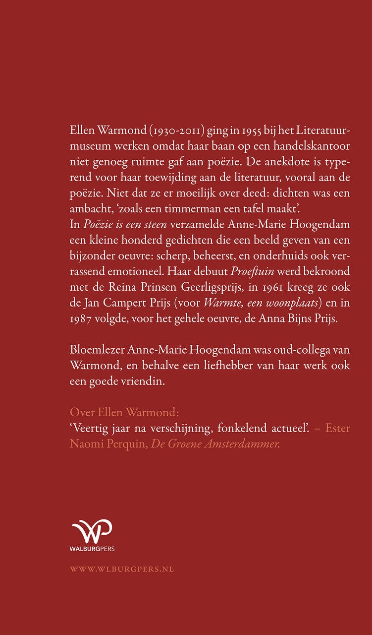 Poëzie is een steen (E-book)