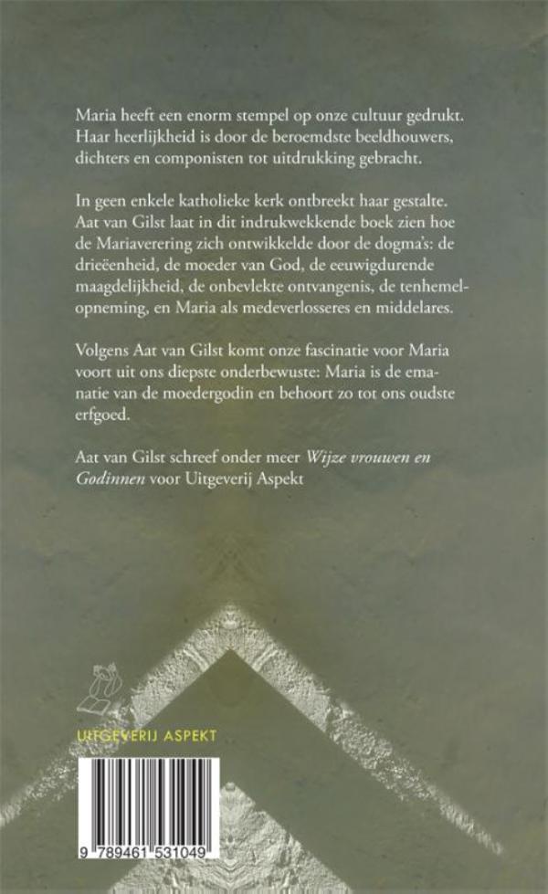De gemanipuleerde Maria (E-book)