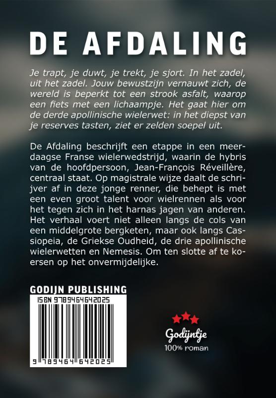 De afdaling (Paperback)