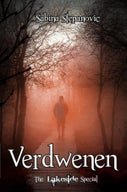 Verdwenen (E-book)