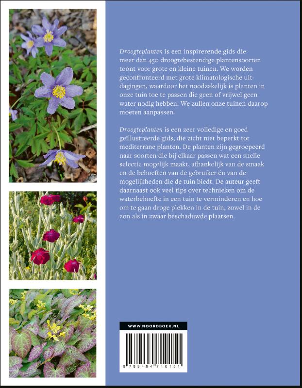 Droogteplanten (Paperback)
