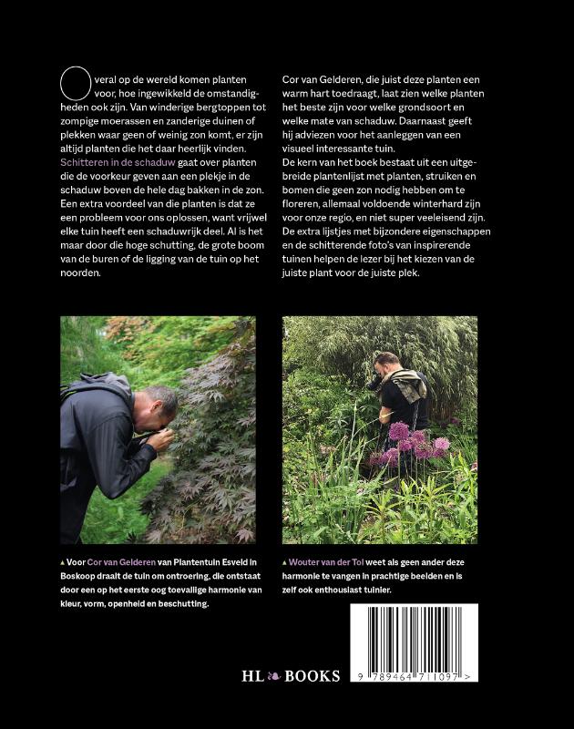 Schitteren in de schaduw (Hardback)