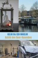 Geluk bij een ongeluk (E-book)