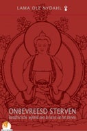 Onbevreesd Sterven (E-book)