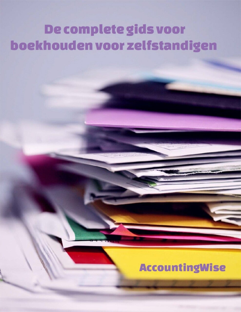 De complete gids voor boekhouden voor zelfstandigen (E-book)