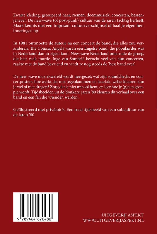 Band. Fans. Vrienden. Muziek (Paperback)