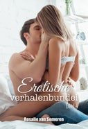 Erotische verhalenbundel (E-book)
