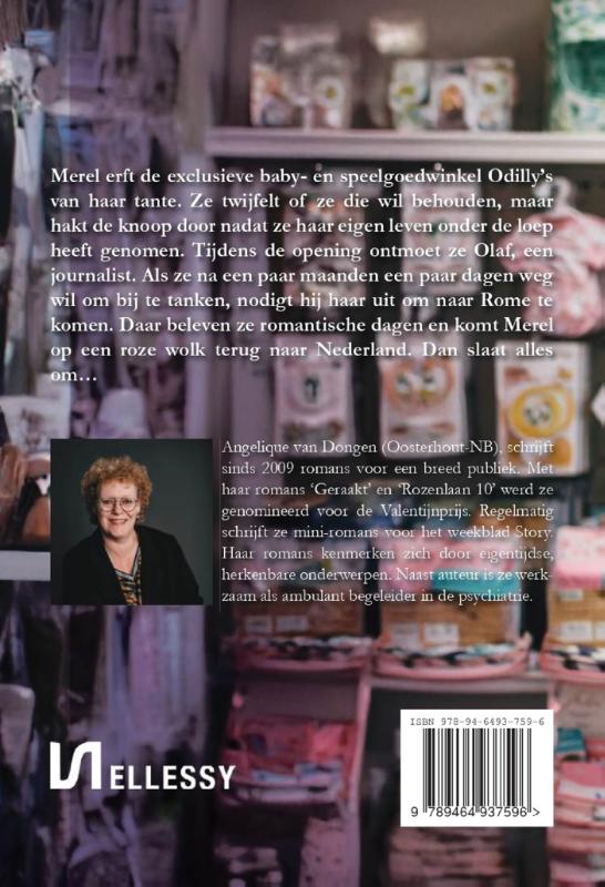 Merels geheim (Paperback)