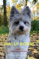 Wally Boom (E-book)