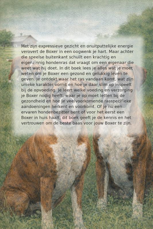 Alles over de Boxer (Paperback)