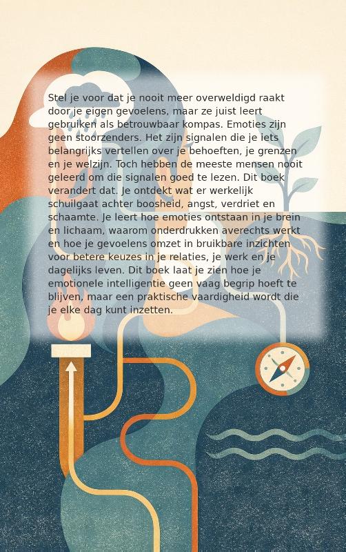 Emoties als informatie (Paperback)