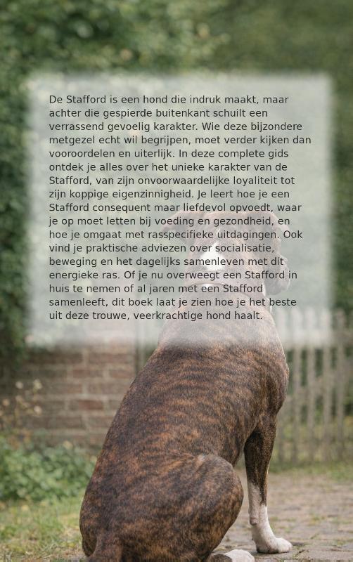 Alles over de Stafford (Paperback)