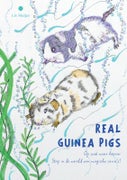 Real Guinea Pigs (Paperback)