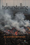Teleurstelling (E-book)