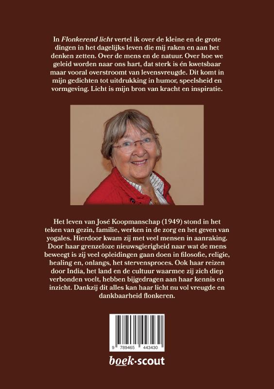 Flonkerend licht (Paperback)