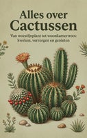 Alles over Cactussen (Paperback)