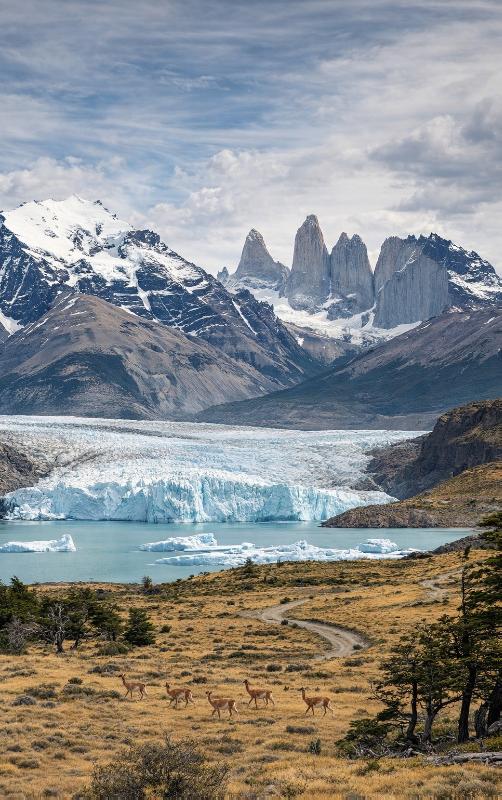 Alles over Patagonië (Paperback)
