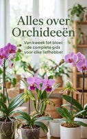 Alles over Orchideeën (Paperback)