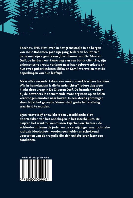 De brandstichter (Paperback)