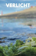 Verlicht (Paperback)