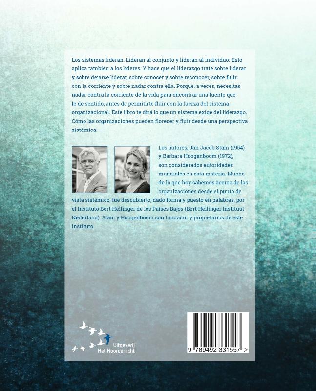 Liderazgo Sistémico (Paperback)