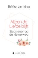 Alleen de liefde blijft (Hardback)