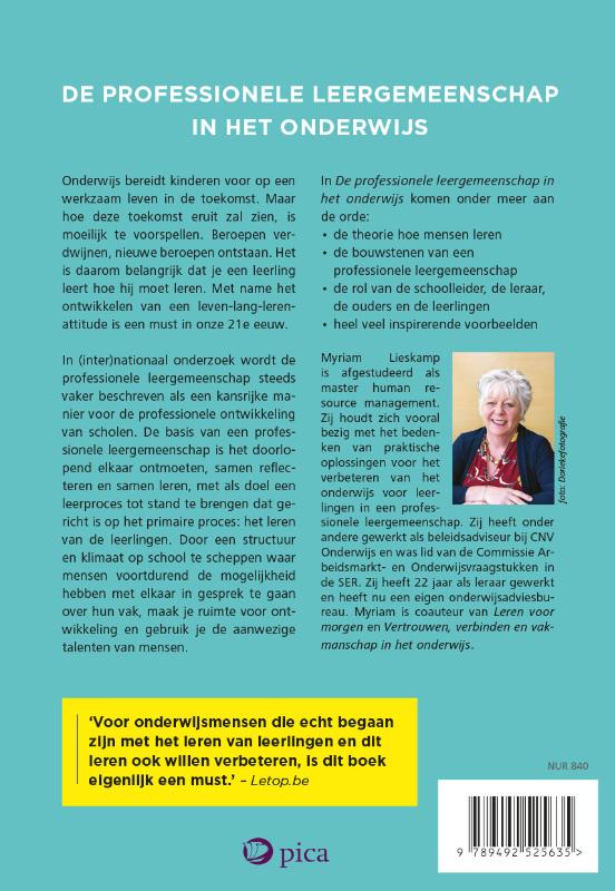 De professionele leergemeenschap in het onderwijs (Paperback)