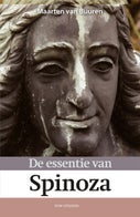 De essentie van Spinoza (E-book)